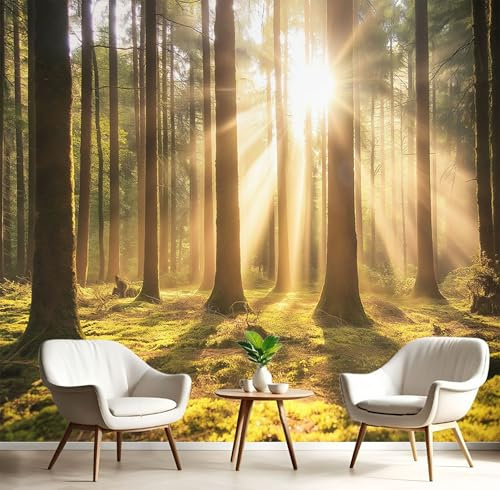 MIATCENRT Papier Peint Panoramique 400x280cm (L×H), Lumière Du Soleil Forêt Papier Peint Tissu De Soie, 3D Effet Décoration Murale Poster, Sauvage Paysage Tableaux Muraux Photo Trompe L'Oeil Ornament