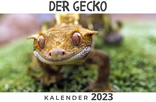 Der Gecko: Kalender 2023