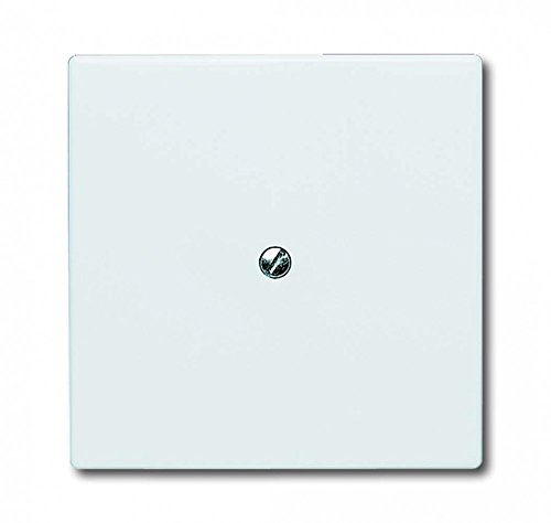 Busch-Jaeger 2138-34 Blindzentralscheibe