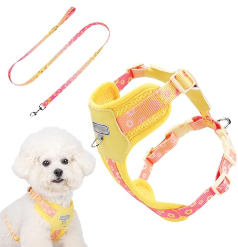 Hundegeschirr – Welpengeschirr, atmungsaktiv, verstellbare Weste für Outdoor-Sportarten, Park, kleine Rassen, Wandern, Abenteuer, Arbeit, Auto, Reisen