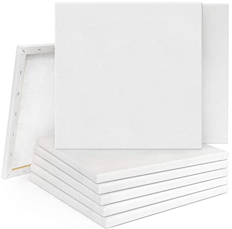 10/20 Stück 20 x 20 cm quadratisch gerahmte leere Leinwand – säurefreie Blanko-Acrylplatte zum Malen, gespannte Künstler-Leinwand (20 Stück)