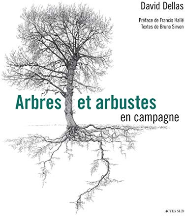 Arbres et arbustes en campagne