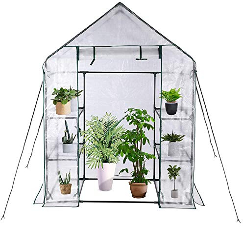 DTLEO Mini-Gewächshaus Stabiles Tomatengewächshaus mit Regal, Tomatenhaus, Gartengewächshaus, Treibhaus mit aufrollbarem Eingang 143 x 73 x 195 cm