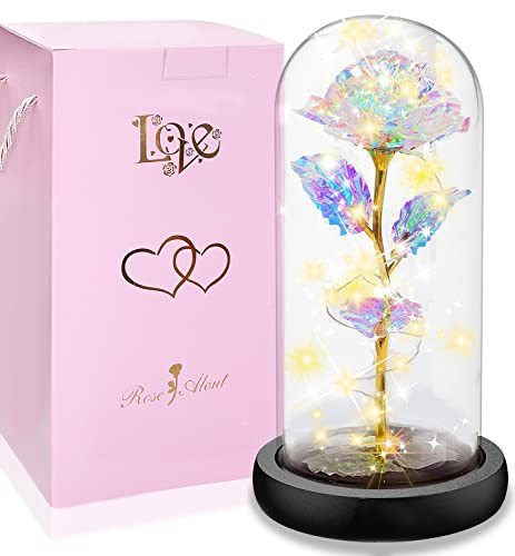 SogYupk Rose im Glas, Ewige Rose im Glas mit LED-Licht,Die Schöne und das Biest, Künstliche Blumenrose Romantische Geschenke für Mama, Oma, Frauen, Freundin, Valentinstag, Geburtstag(Warmes Licht)