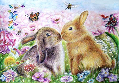 Meecaa Måla efter siffror kanin maka blomma fjäril djurkit för vuxna nybörjare gör-det-själv oljemålning 40 x 50 cm (kanin, ingen ram)