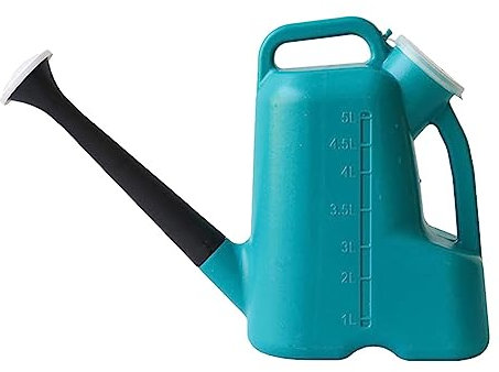 Arrosoir – Grand arrosoir pour fleurs, long bec, plantes d'extérieur grandes fleurs, 5 L, bec d'arrosage avec couvercle