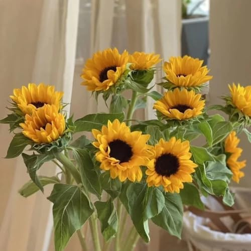 Sonnenblumensamen, gartendeko für draußen sonnenblume bodendecker stauden blumensamen mehrjährig winterhart hochbeet outdoor rankpflanzen kletterpflanzen garten gartenblumen 280pcs