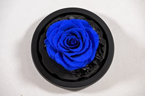 YourRoses® echte Premium Rose im Glas mit einer wunderschönen Geschenkbox | Lange Haltbarkeit & edles Geschenk als Liebesbeweis | ein Geschenk vom Herzen Blau