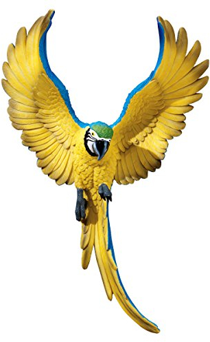 Design Toscano QL129918 Sculpture murale de Phineas l’Ara battant des ailes Multicolore 9 x 25,5 x 40,5 cm