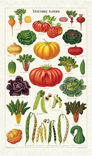 CAVALLINI & CO. Vegetable Garden Tea Towel, Multicolor Botanical Kitchen Linen, Premium Cotton Fabric, 20 x 30 Inch Decorative Dish Cloth, Vintage Produce Illustration Home Accessory
