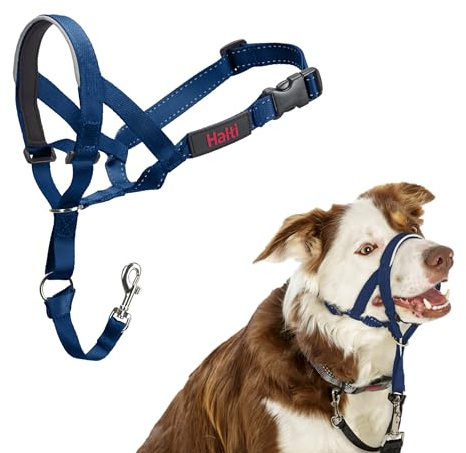 HALTI Headcollar - För att hindra din hund från att dra i kopplet. Justerbar och lätt, med vadderat näsband. Anti-draghalsband för hundträning för medelstora hundar (Storlek 2, Koboltblå)