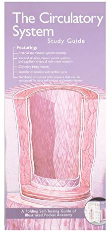 ILLUS POCKET ANAT CIRCULATORY SYST 2E
