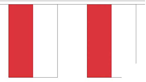 Banderines de Polonia – 9 metros – Poliéster – 30 banderas por 9 m de longitud – FlagSuperstore©