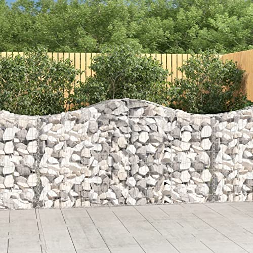 BaraSh Gabionen mit Hochbogen 11Stk. 200x30x100/120cm Verzinktes Eisen Zaun Garten Drahtkorb Garten Gabionen Zaun Gabionen SäUle