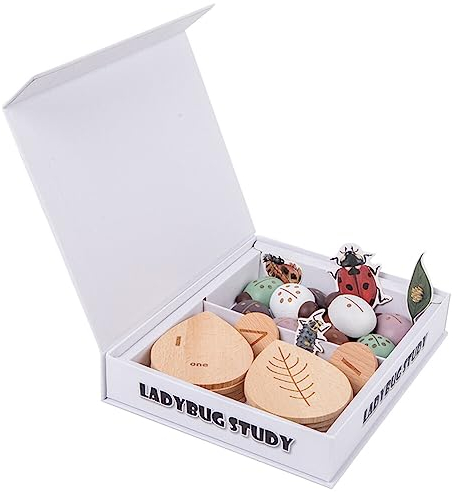 Addition und Subtraktion Arithmetik Montessori Spielzeug, Montessori Mathe Spielzeug Holz Zahlen Lernen Rechenhilfe Montessori Spielzeug Holzpuzzle für Kinder Ladybug Gedächtnisspiel aus Holz