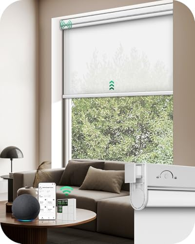 Allesin No Drill Motorized Roller Blinds - Rechargeable, Remote Controlled, Cordless Electric Shades for Indoor Windows with Quiet Motor & Alexa-Compatible (Custom Size, Light Filtering White)