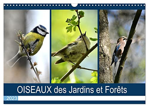 OISEAUX des Jardins et Forêts (Calendrier mural 2023 DIN A3 horizontal): Différentes rencontres avec nos amis à plumes (Calendrier mensuel, 14 Pages )