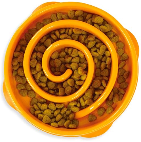 Outward Hound Slow Feeder Dog Bowl - Makes Meal Time Fun, Slows Down Eating, Promotes Healthy Digestion, Prevents Bloat | Slip Resistant and Durable, Food and Water Bowl, Size Medium (Orange)