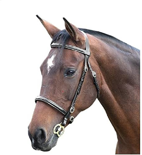 Shires Bridon de Presentation avec Coutures en contrast - Noir - Poney