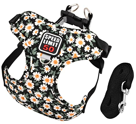 Hundegeschirr mit Leine, Air-Mesh Atmungsaktiv Brustgeschirr, Katzengeschirre Reflektierend, Weich Gepolstert Hunde Geschirr, Verstellbare Welpengeschirr für Kleine Mittel Haustiere (Schwarz)