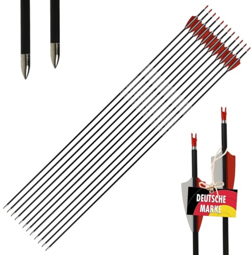 Sphere Pioneer 4.2 Carbon Komplettpfeile, 12x mit Vanes | dünn & präzise- inkl. Spitze & Nocke, für Bogenschießen, Recurve & Compound, 3D Parcours & Target