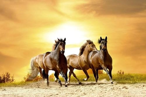 Papier peint intissé CHEVAUX EN SUNSET 375 cm x 250 cm | Tapisserie Murale XXL Poster Décoration - Salon Appartement - Photo d'art Tableaux Muraux | QUALITÉ SUPÉRIEURE - MADE IN EU - Y compris adhésif
