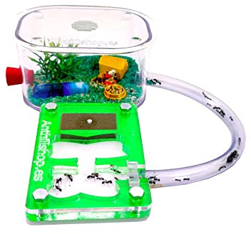 - Neuer pädagogischer Ameisenhaufen (9 x 6 Acryl), Grün, mit Futterbox, plus Ameisen enthalten.