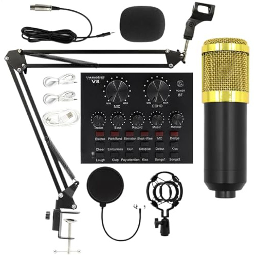 Set microfono per registrazione Facile da Usare, Scheda Audio, Kit Audio, | Multiuso Kit live streaming facile da usare per conduttori, cantanti, doppiatori e studio di registra