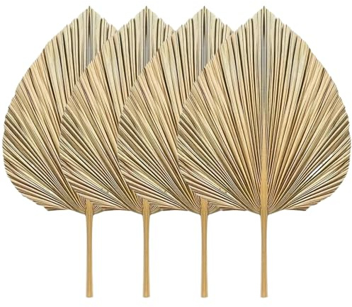 4 Hojas de Palma de 17 x 9, secas naturalmente con Tallos, Ramo de frondas de Palma Tropical, Oro Bohemio para decoración de jarrón de Cocina, hogar, Boda, 4 Uds.