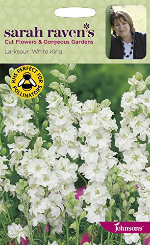 Johnsons - Sarah Raven's Cut Flowers - Larkspur White King - 400 Seeds