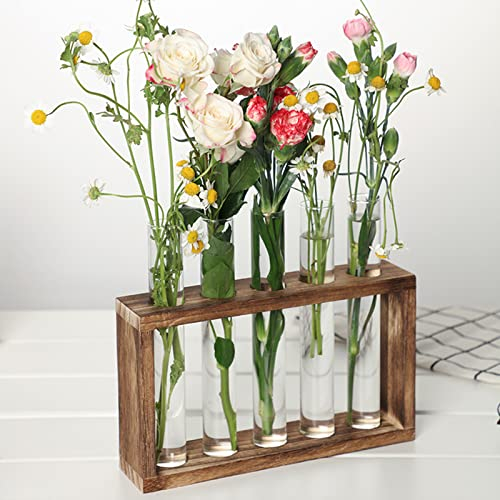 Glas Reagenzglas Kleine Vasen Für Tischdeko Blumenvase Für Blumen Mit Ständer Holz Propagation Station Für Wohnzimmer Dekoration Und Hydroponik Pflanzen, L