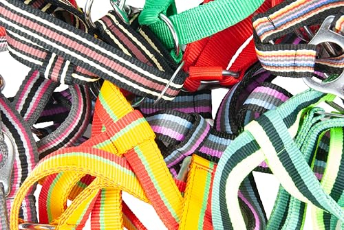 Brama West Nylonhalfter Pferdehalfter verstellbar einfach in 10er Packung - Gr. Full