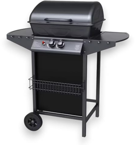 Briconess.com Barbecue a Gas 2 fuochi con Pietra lavica per Esterno