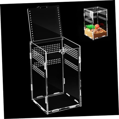 Kisangel Reptilien Futterbox Aus Robustem Acryl Kompakte Transparente Aufzuchtbox Für Springspinnen Frösche Und Insekten Einfach Montierbares Terrarium Für Beobachtung Und Transport