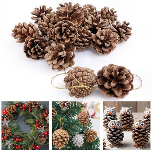 Morofme 18 Pcs Hanging Natural Pine Cones Natural Pinecone Crafts Ornaments Christmas Tree Pinecone Decorations Garland Pine Cone Decor for Christmas Winter Holidays Table Vase Fillers
