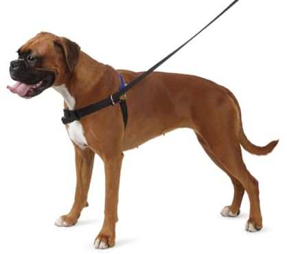 Ancol/Pure-Hunde-Zuhörer – Hundeleine mit Stop-Funktion, zum Stoppen eines ziehenden Hundes, ideal fürs Hundetraining, Hundegurt und Leinen- Set – Kleine Größe (inkl. DVD - evtl. nicht in dt. Sprache)
