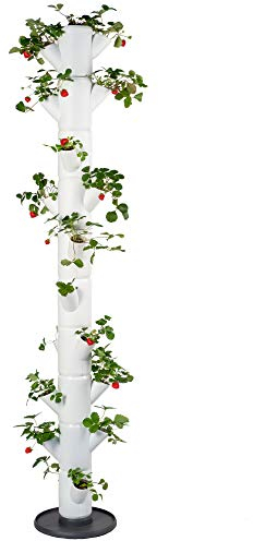 GUSTA GARDEN Sissi Strawberry Erdbeerbaum Infinity Weiß - Hochbeet System Erdbeeren mit Wandhalterung - Garten & Balkon - 185 cm Höhe - 25L Erdvolumen
