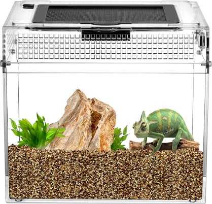 QWORK® Reptil Fütterungsbox, Feeding Box, 20 * 20 * 18cm für eine Vielzahl an Reptilien und Insekten