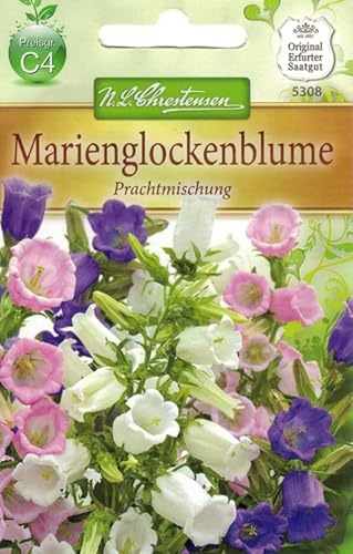 N.L.Chrestensen 5308, Campanula medium Marienglockenblume, Prachtmg., Mehrfarbig