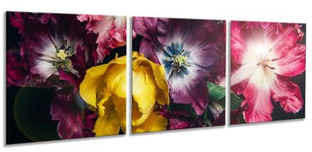 artissimo Glasbilder 3 teilig je 50x50 cm Tulpen Blumen AG5286A – Glasbild Set modern, mehrteilig, XXL Wandbilder, Wanddeko Bild rot pink gelb floral