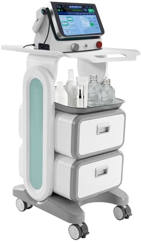 Kosmetikwagen mit 2 Schubladen, Beauty Trolley auf Rollen, Professioneller Kosmetik Gerätewagen bis 60kg, Arbeitswagen für Kosmetikstudio, Salon & Ästhetik