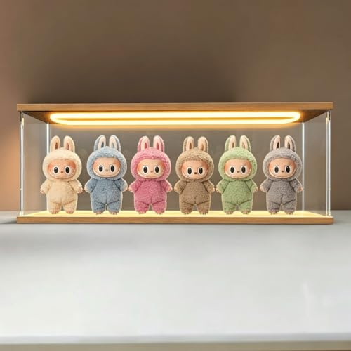 Vitrine Acrylique Verre Boîte Plexiglas avec LED Bois 60x10x20cm