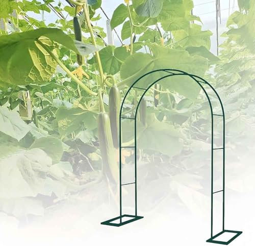 WCQSYY Arco for Plantas De Metal for Rosal Trepador, Marco De Soporte De Jardín con Base, Arco Jardin Exterior, 140X230cm 180X230cm 240X220cm 300X230cm,Verde,W1.2M*H2.2M