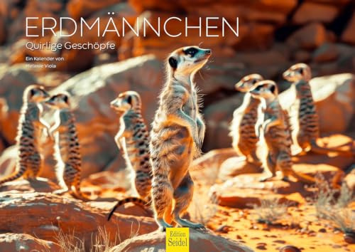 Edition Seidel Calendario premium Suricato 2026, formato DIN A4, calendario de pared, calendario de animales, África, zoo, naturaleza, manada, mamífero, animal, melanie viola