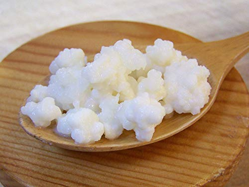 Crave Longevity ®, grani di kefir vivi, – qualità premium, senza OGM e senza additivi, per preparazione in casa di kefir di latte probiotico, istruzioni e ricette, 15g
