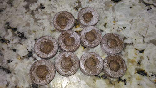 Portal Cool 10X Tablet Jiffy Torba pressata per i Semi di Far germinare i Semi:Seeds