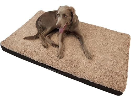 Waidmeister Hundebett Benji - orthopädisches Hundekissen - Haustierbett - Hundeliege mit waschbarem Bezug - Hundesofa Beige (XL 100cm)