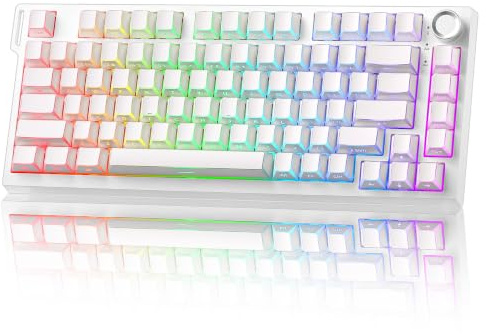 YUNZII RT75 PRO Trådlöst Speltangentbord, Hall Effect Mekaniskt Rapid Trigger Magnetiskt Tangentbord Bluetooth/USB-C/2.4G 8KHz/128K Scan, Justerbar Ratt, RGB (Vit, Red Switch)