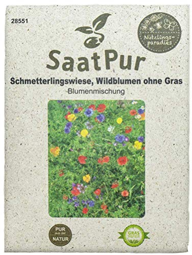 SaatPur Blumenmischung Schmetterlingswiese (Wildblumenmischung ohne Gras)