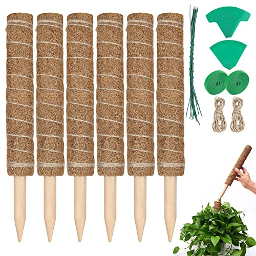 STARVAST Pflanzstab, 6 Stück 40cm Pflanzstäbe Kokos Moosstab für Monstera Pflanze Rankhilfen für Kletterpflanzen Natürlicher Pflanzenstütze mit 2 m Juteschnur und Kunststoffetikett